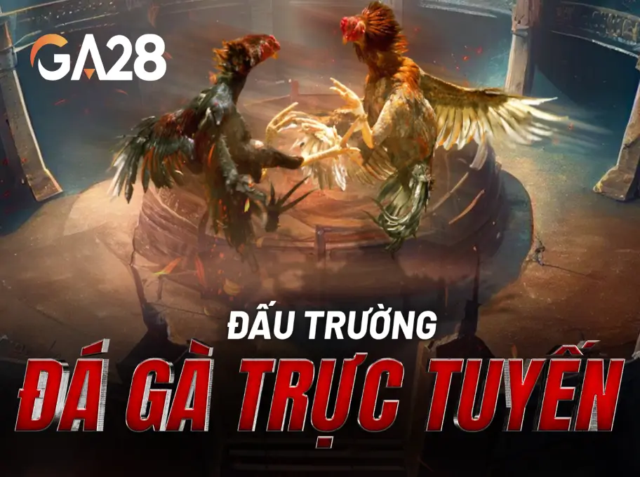 Đá gà trực tuyến Lucky88