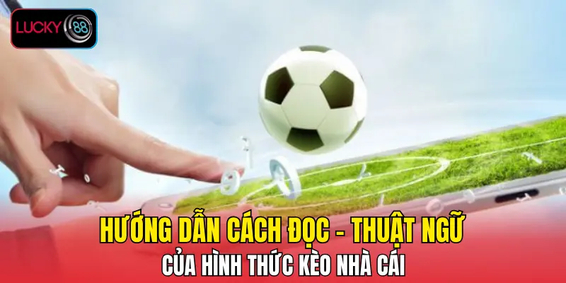 Hướng dẫn cách đọc - thuật ngữ của hình thức kèo nhà cái Hướng dẫn cách đọc - thuật ngữ của hình thức kèo nhà cái