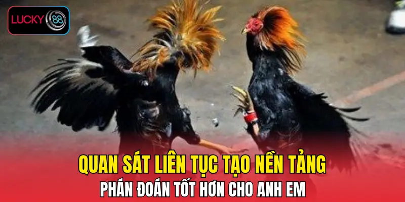 Quan sát liên tục tạo nền tảng phán đoán tốt hơn cho anh em Quan sát liên tục tạo nền tảng phán đoán tốt hơn cho anh em