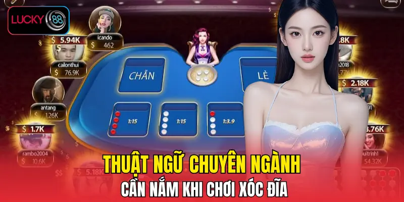 Thuật ngữ chuyên ngành cần nắm khi chơi xóc đĩa