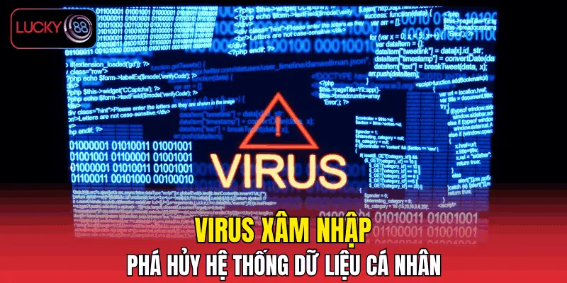 Virus xâm nhập phá hủy hệ thống dữ liệu cá nhân